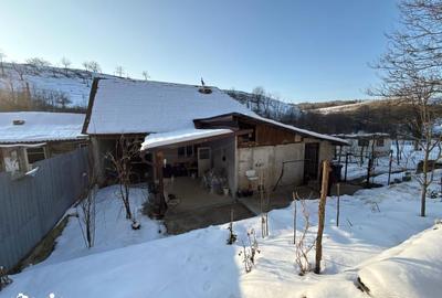 Casă cu 3 camere cu Teren 1079 Mp în Târnova - 5