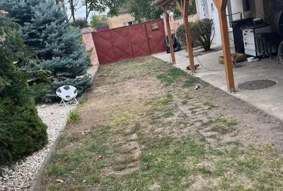 Casă cu 1 camere cu Teren 1104 Mp în Satchinez - 4