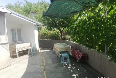 Casă cu 4 camere cu Teren 5000 Mp în Valea Mărului - 8