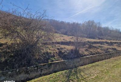 Teren de 3664 mp, în Ghioroc - 3