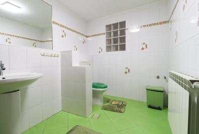 Casă individuală cu 4 camere cu Teren 160 Mp în Calea Călărașilor - 18