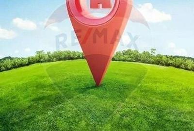 Teren agricol extravilan de 20000 mp, în Central - 2