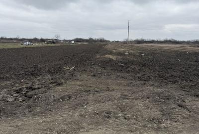 Teren de 3650 mp, în Mărgineni - 2