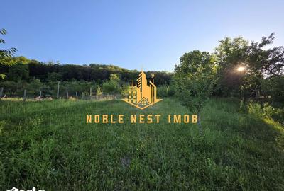 Casă cu 5 camere cu Teren 2500 Mp în Central - 8