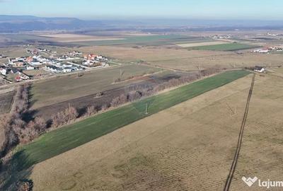 Teren de 15482 mp, în Hărman - 2