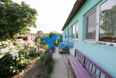 Casa cu teren in Salcioara (Jurilovca) - 2600mp - 4