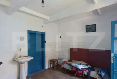 Casă cu 3 camere cu Teren 1400 Mp în Mihai Viteazu - 15