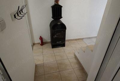 Casa de Vanzare Insula Mures - 4