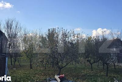 Casă cu 2 camere cu Teren 4446 Mp în Păulești - 7