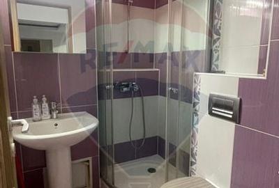 Apartament cu 4 camere de inchiriat in zona Sarari - 10