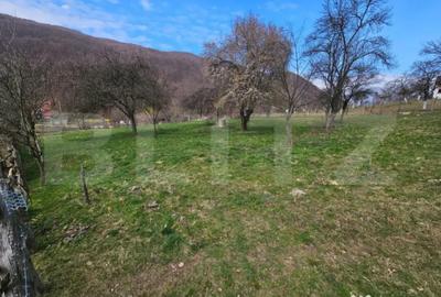 Teren în Central - 4