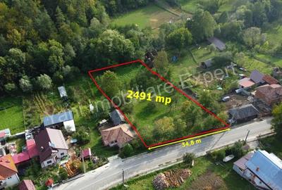 Teren de vanzare in comuna Arefu, sat Arefu, jude? Arge?. - 6