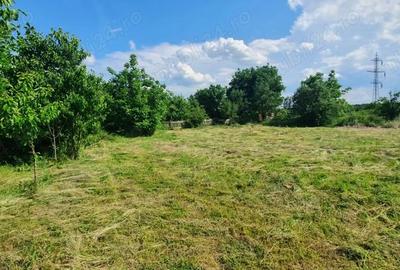 Teren de 3600 mp, în Central - 6
