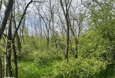 Spațiu comercial, în Hăpria - 3