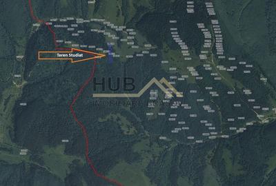 Teren Construcții extravilan de 5800 mp, în Vulcan - 3