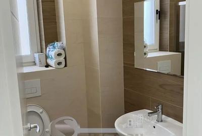 Apartament cu 2 camere semidecomandat, mobilat în Ciurea - 4