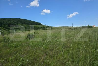 Teren potrivit pentru investitie in zona complexului Domeniul Regilor. - 3