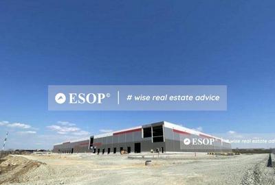 Constanta Business Park, spatii Depozitare/productie, 5.0... - 2