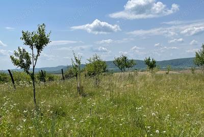 Teren în Urleta - 6