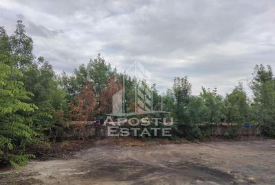 Teren de 8000 mp, în Micălaca - 9