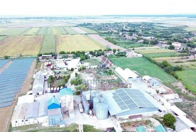 Gaminvest Fabrica de morarit de vanzare in Judetul Bihor, Romania V3234 - 19