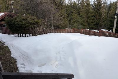 Casă individuală cu 3 camere cu Canalizare în Băile Miercurea - 2