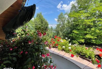 Casă cu 4 camere în Nord - 5