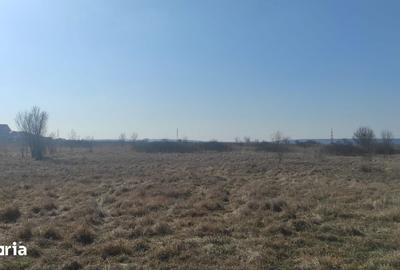 Teren de 500 mp, în Brestei - 2