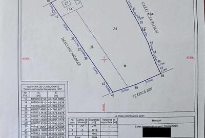 Casă cu 2 camere în Bârseștii de Sus - 1