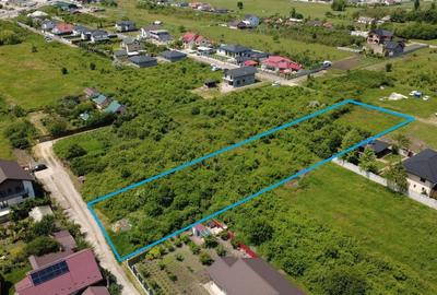 OPORTUNITATE INVESTIȚIE - Teren 3.500 mp, Munteni de Jos; - 2