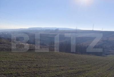 Teren 5000 mp Rediu, oportunitate investitie - 3