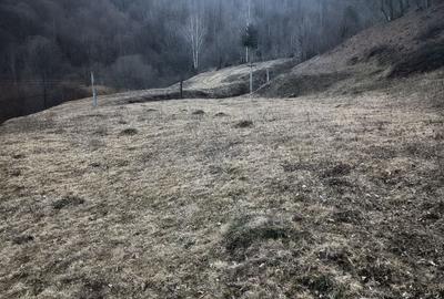 Teren de 2700 mp, în Exterior Vest - 4