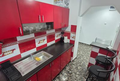 1 Cam-Sagului-5 Min Spitalul Judetean-Aer conditionat-Mobilat-33 MP- 65.000 Euro - 8