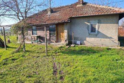 Casa de vanzare. Strada Gradinitei nr.20 jud.Ialomita - 1