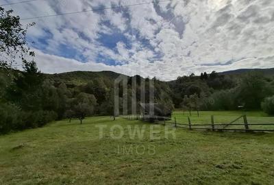 Teren Intravilan de Vanzare 3622 mp Rau Sadului - 6