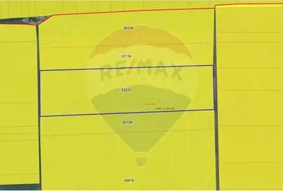 Teren extravilan de vanzare - 2