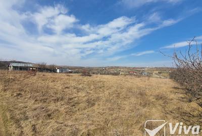 Teren 5300 mp Intravilan in Goruni – Tomesti - 8