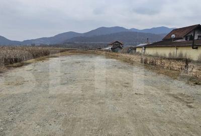 Teren de 2600 mp, în Șoimuș - 2