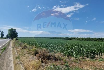 Teren agricol extravilan de 32000 mp, în Berești-Bistrița - 3