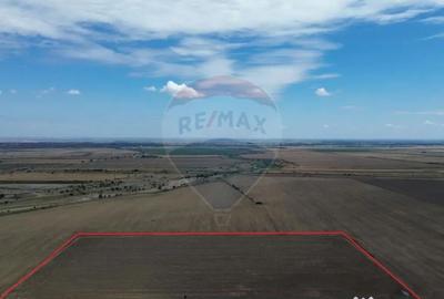 Teren de 27500 mp, în Tișița - 2