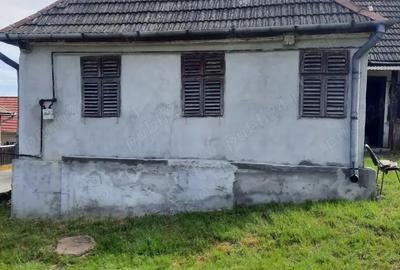 Casă cu 2 camere în Frunzeni - 3