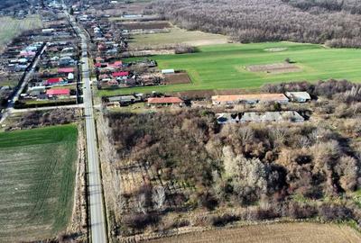Ferma si livada de meri in judetul Ilfov - 2