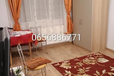 Garsonieră decomandată în Lipovei - 3