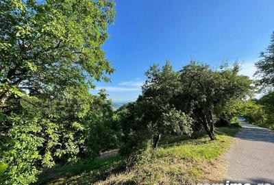 Teren zona turistica Rosia - 5