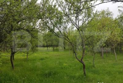 Teren în Brănișca - 3