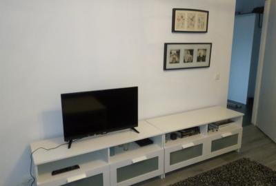 Apartament cu 2 camere decomandat în Gorjului - 3