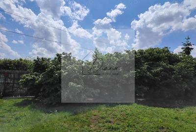 Casa Ciocanesti Cretu - 2 camere cu teren 2539 mp - Jud. Dambovita - 4