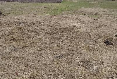 Casă cu 2 camere cu Teren 5 Mp în Central - 3