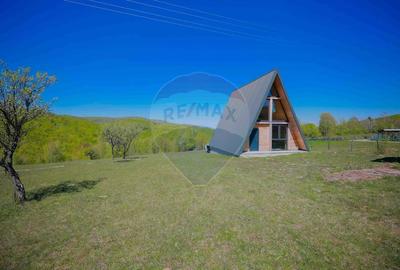 Casă individuală cu 7 camere cu Teren 30200 Mp în Prelucele - 34