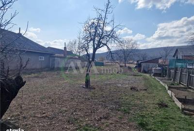 Teren de 2000 mp, în Hemeiuș - 4